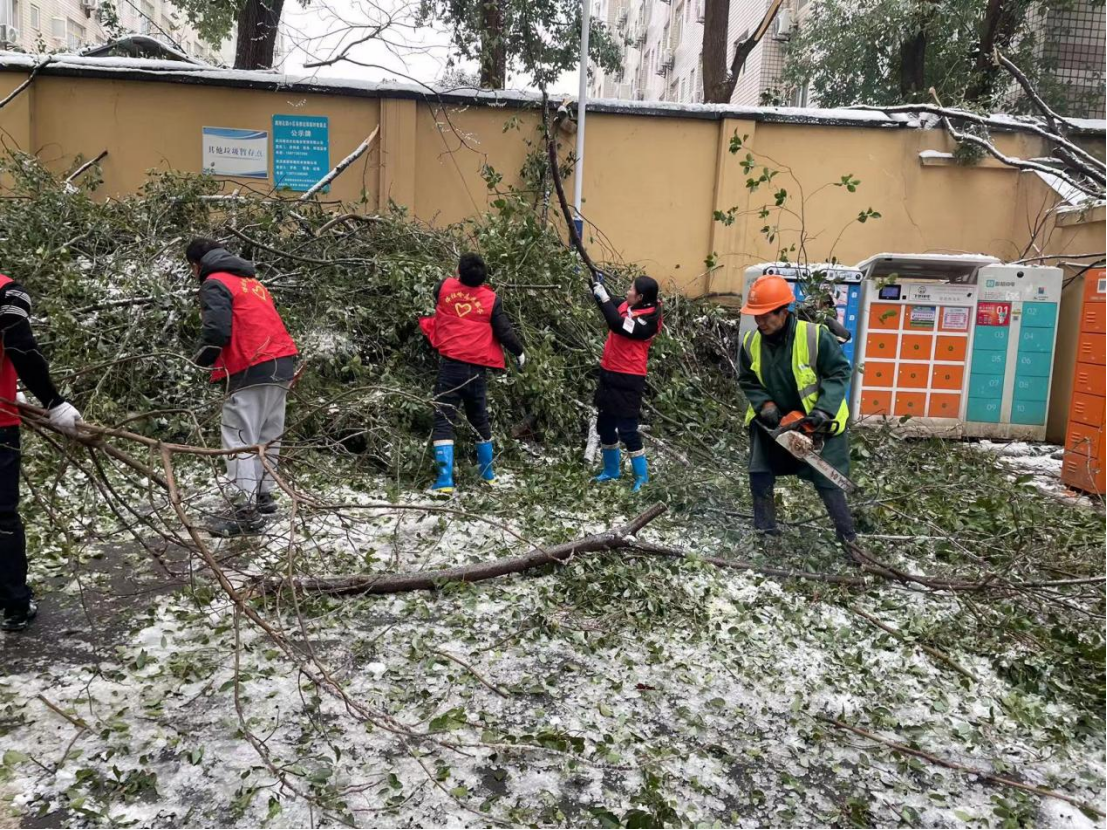 首页| 尊龙·Z6(中国集团)官方网站