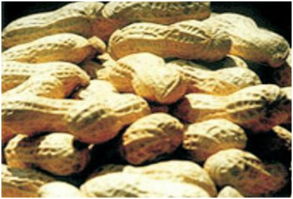 首页| 尊龙·Z6(中国集团)官方网站