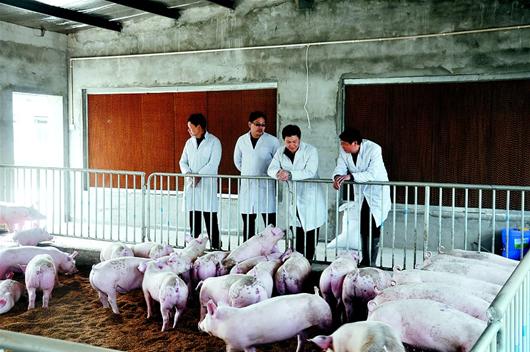 首页| 尊龙·Z6(中国集团)官方网站