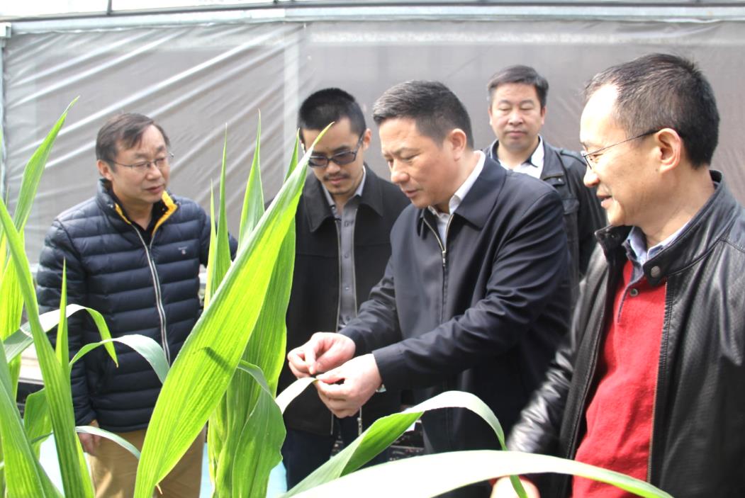 首页| 尊龙·Z6(中国集团)官方网站